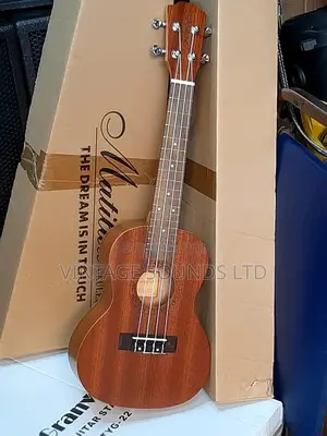 Ukulele Guitar