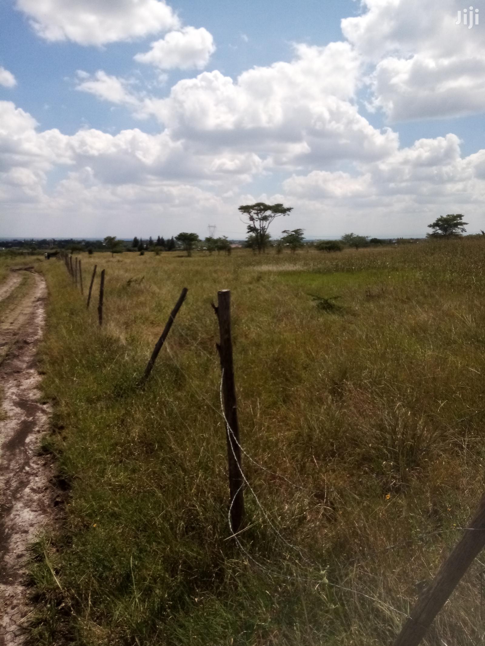 Mwalimu Farm Plots For Sale in Juja Land & Plots For Sale, Joshua