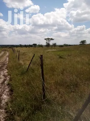 Mwalimu Farm Plots for Sale