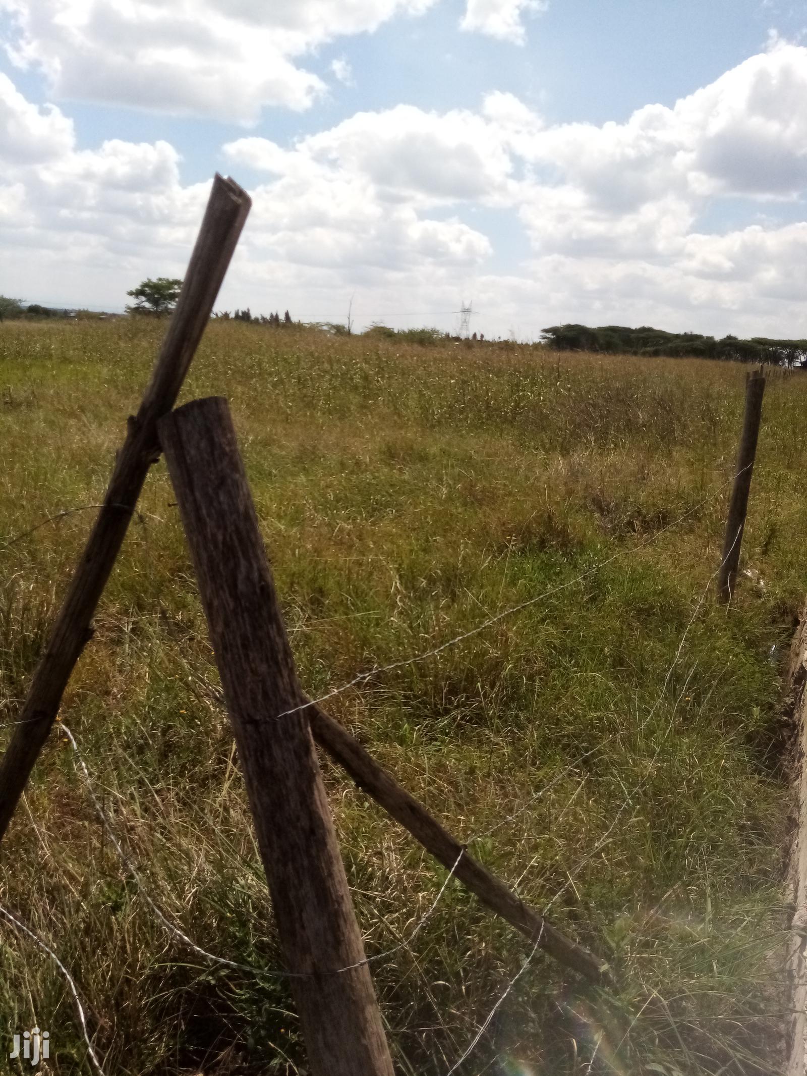 Mwalimu Farm Plots For Sale in Juja Land & Plots For Sale, Joshua Kibe Jiji.co.ke Mwalimu Farm Plots For Sale in Juja Land & Plots For Sale, Joshua Kibe Jiji.co.ke