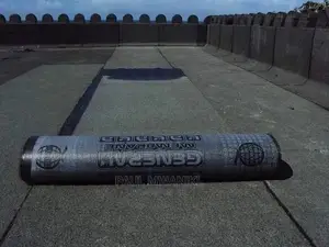 App Membrane Flat Roof Waterproofing