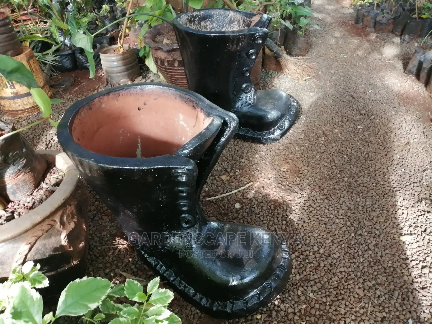 Clay Pots And Potted Plants