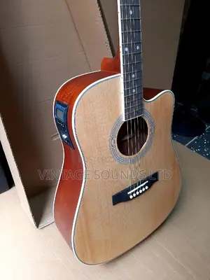 Ebanez Full Size Semi Acoustic Box Guitar With Inbuilt Tuner