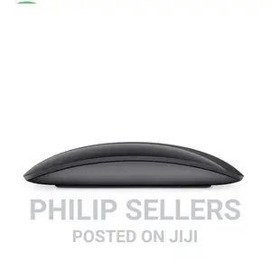 APPLE Magic Mouse 2 Space