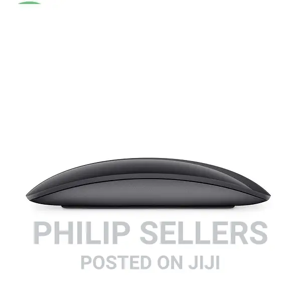 APPLE Magic Mouse 2 Space