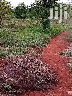 10 Acres Runda for Sale Very Prime Place 70meters From Road