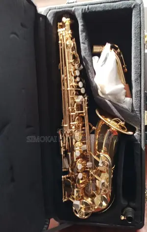 Alto Saxophone Copy 82z Leather Case