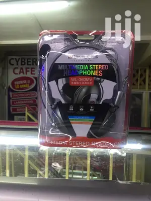 Headphones With Mic
