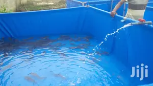 Collapsible Mobile Fish Tank / Pond