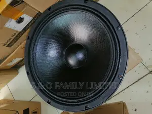 15 Inch Mid Heavy Bass Naked Speaker