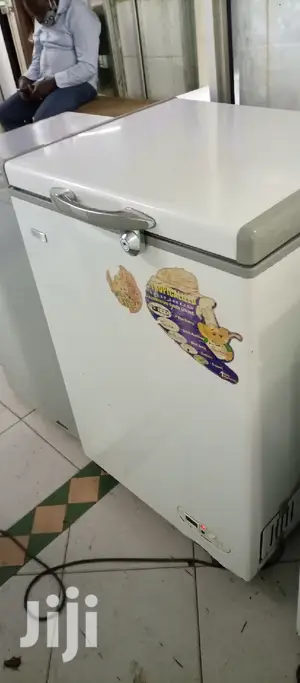 100L Deep Freezer