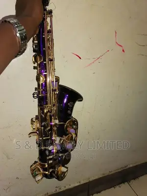 Primier Alto Saxophone 🎷