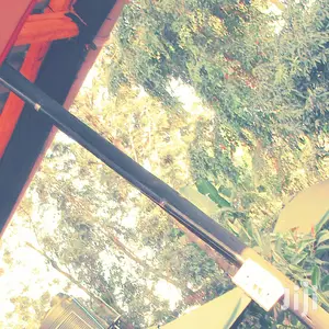 Tree Cutting,Trimming and Pruning