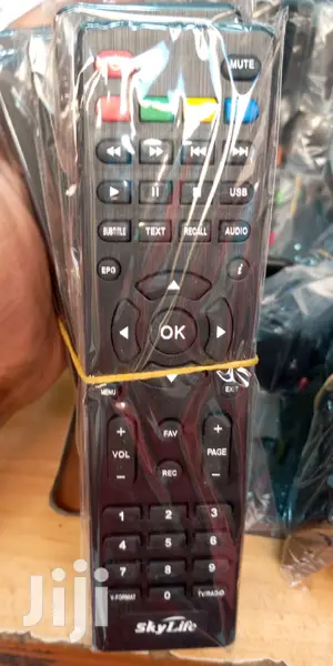 Skylite Decorder Replacement Remote Control.