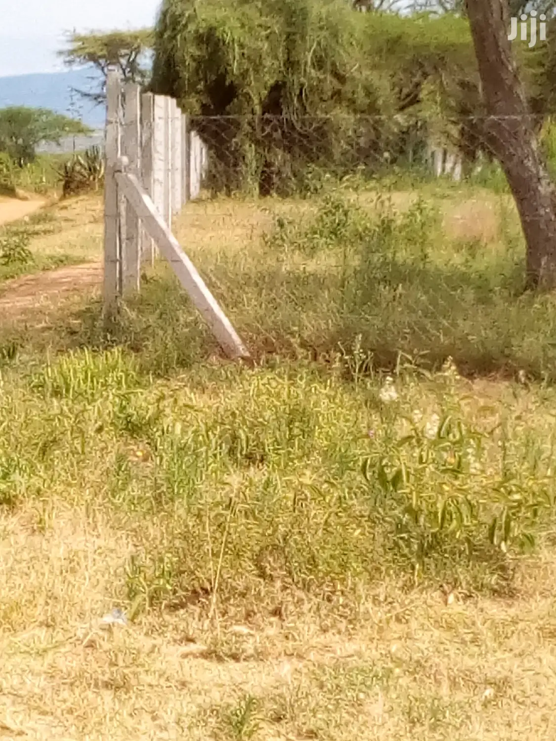 Fence Installation Services