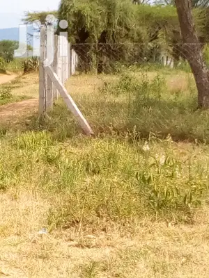 Fence Installation Services