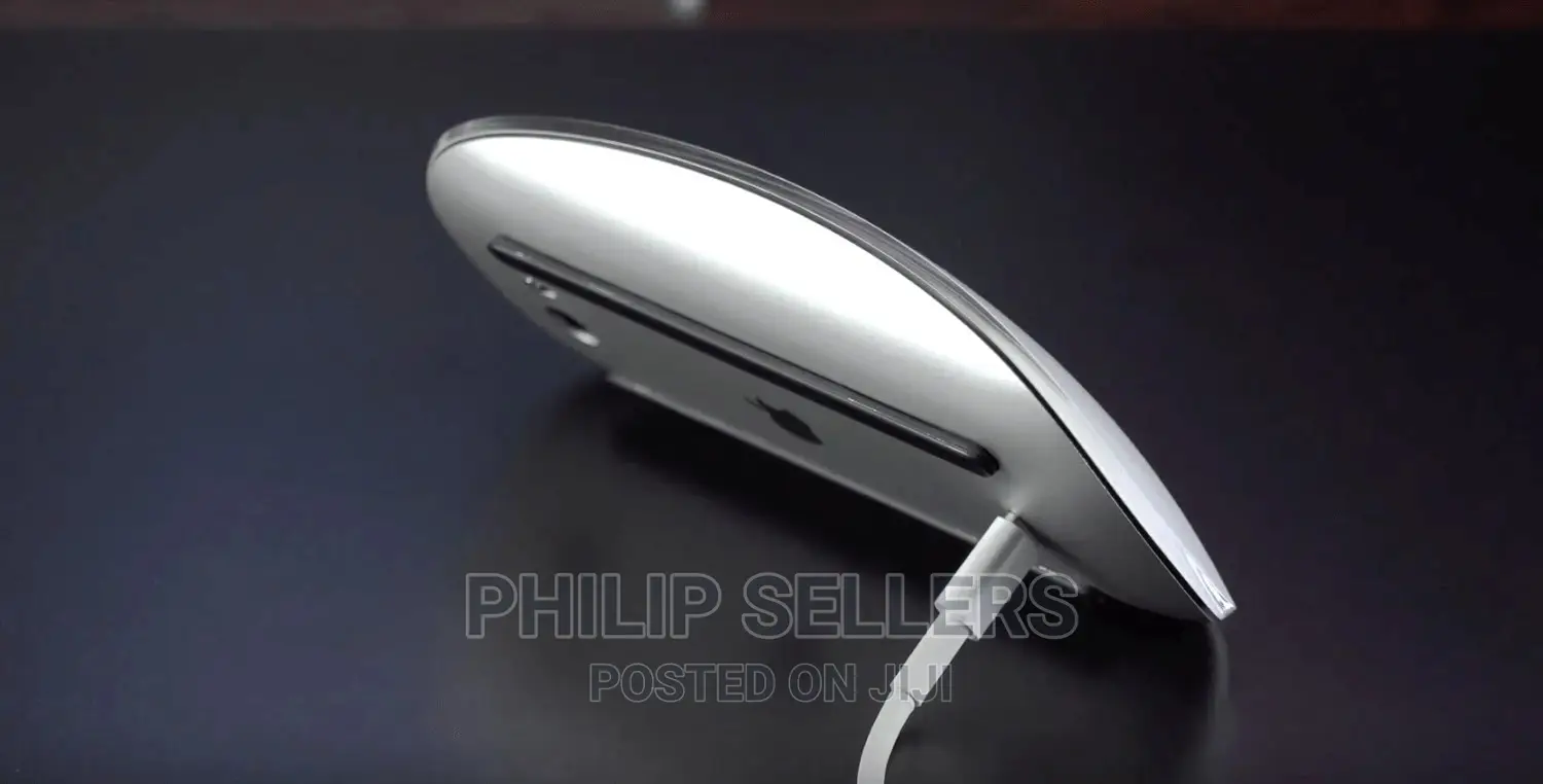 Magic Mouse 2