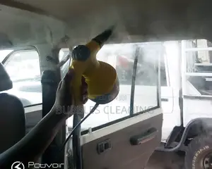 Car Steam Cleaning