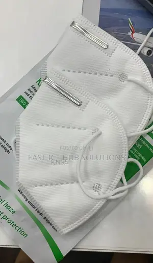 Original N95 Masks