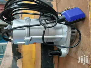 Electric Submersible Water Pump