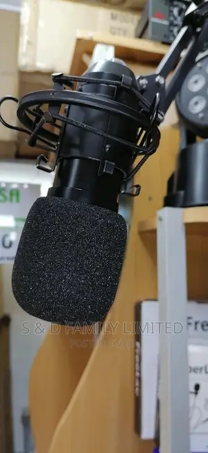 BM 800 Studio Microphone