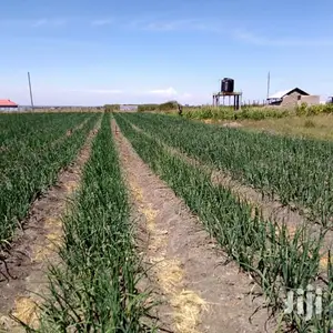 Drip Irrigation Systems For Sale 1 Acre