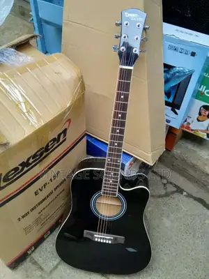 Semi Acoustic Box Guitar