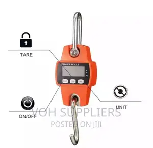 300kg Digital Hunging Scale