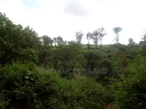 Land For Sale In Kitusuru